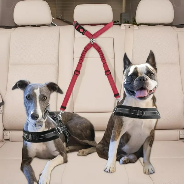 Arnés De Seguridad Para Perro En Coche - Cinturón Ajustable Con Amortiguación Elástica, Enganche En Reposacabezas