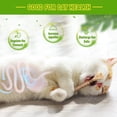 thumbnail image 3 of Palitos Masticables BAWAN Silvervine para Gatos y Gatitos, 3 of 7