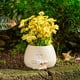 thumbnail image 5 of Maceta mecedora con forma de puchero | Maceta de resina para suculentas con orificio de drenaje | Decoración de jardín con cara sonriente | Macetero para interior y exterior | Regalo para am, 5 of 5