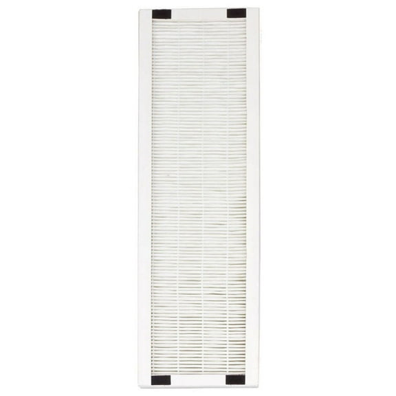 Replacement HEPA Filter for AC-2062G (pack of 2)