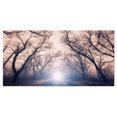 thumbnail image 2 of Mysterious Sunlight in Forest - Landscape Photo Canvas Art Print, 2 of 3