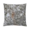 thumbnail image 2 of Ahgly Company Earth Rock Coussin d'Intérieur, 18 Pouces par 18 Pouces, 2 of 6