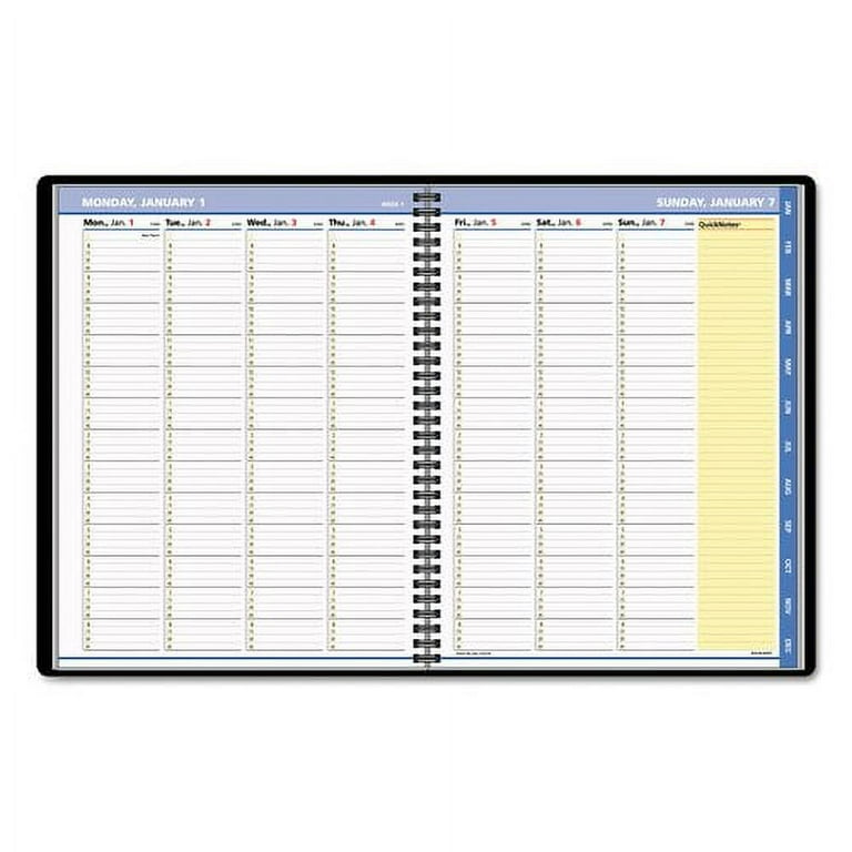 At A Glance AAG7695005 QuickNotes Weekly & Monthly Appointment