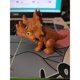 thumbnail image 1 of Dinosaurio De Dedo Mordida , Modelo De Juguete Móvil De Simulación Común, 1 of 4