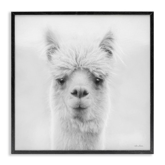 Stupell Industries Traditional Alpaca Portrait Country Farm Animal Black Framed Giclee Art, 12 x 12, by Lori Deiter