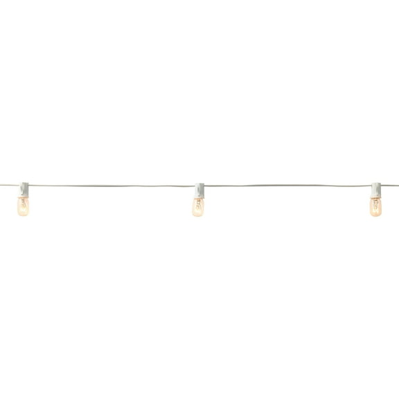 20ct. Mini Edison String Lights with White Cord by Ashland