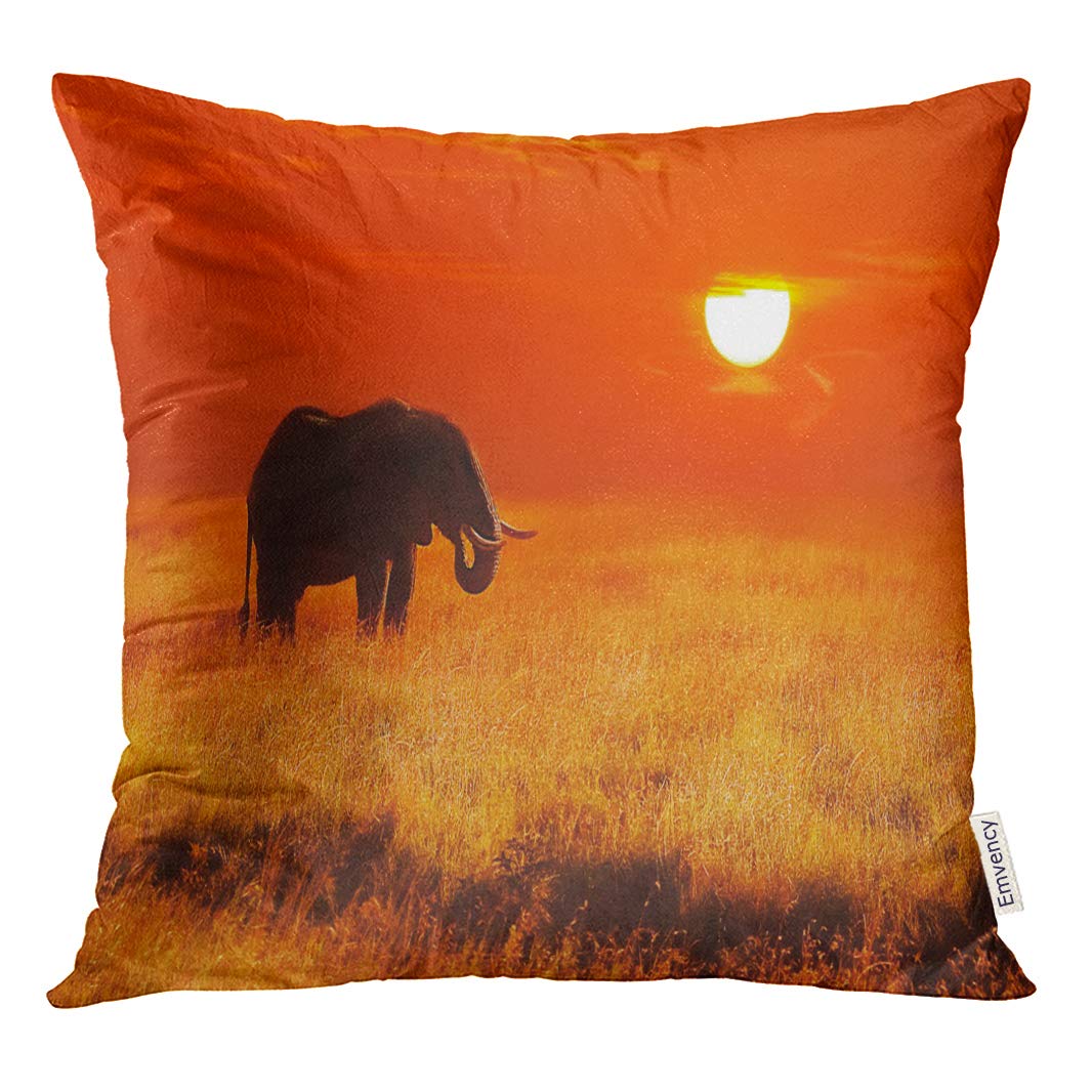 STOAG Tanzania Elephant at Sunset in The Serengeti National Park Africa ...