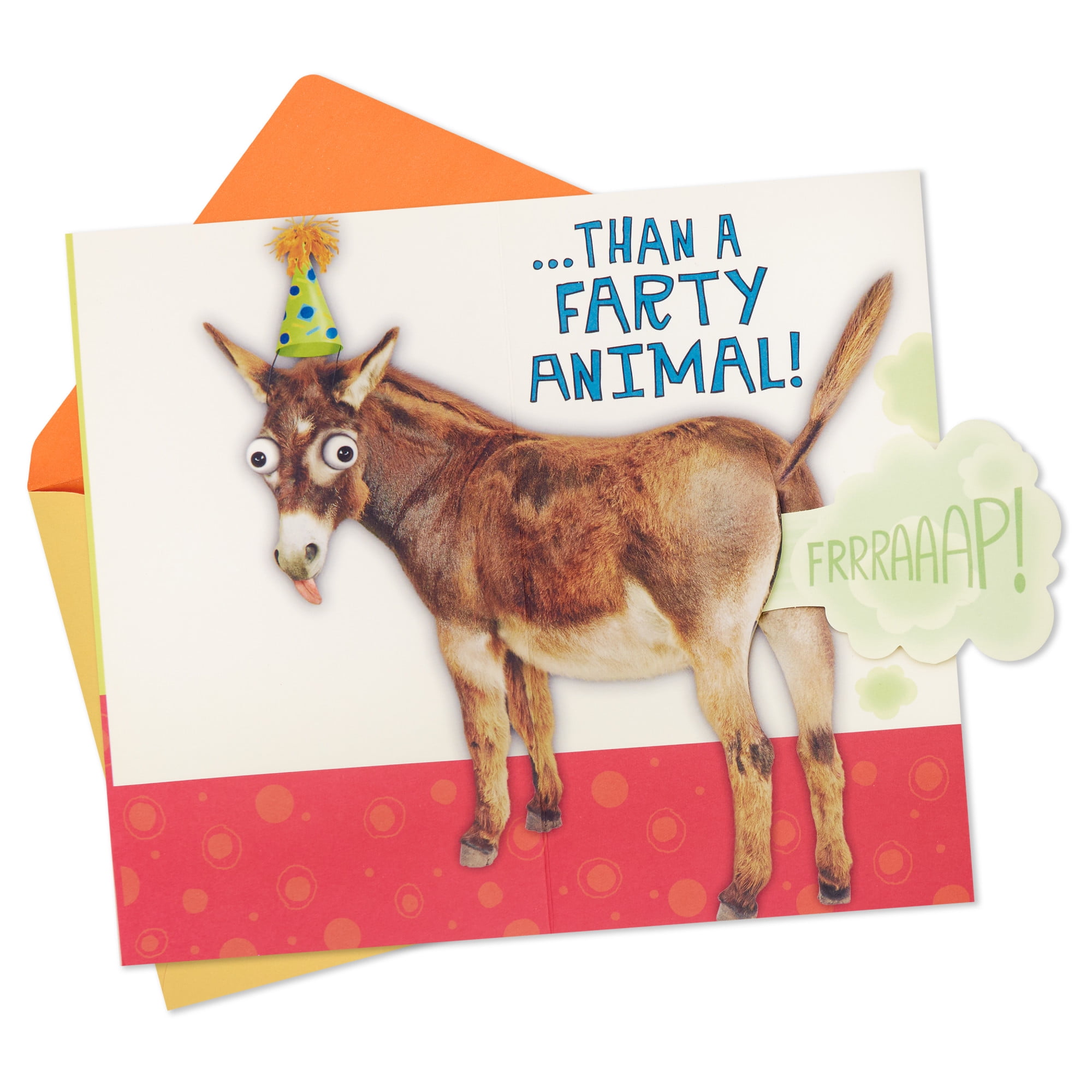 Hallmark Funny Birthday Card (Farting Donkey)