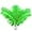 Lime Green, variant on Lime Green Ostrich Feathers - 24Pcs 12-14inch Large Green Feathers for Vase,Wedding Party Centerpieces and Holiday Home Decor