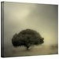 thumbnail image 2 of Mark Ross "Room To Grow" Wrapped Canvas Art, 2 of 3