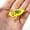 5-5.5 grams], variant on 5.5g Cicada Lure, Realistic Insect Topwater Bait, Floating Popper for Bass, Snakehead & Culter