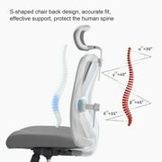 Sihoo High Back Lumbar Support and Breathable Computer Desk Chair, Light Gray