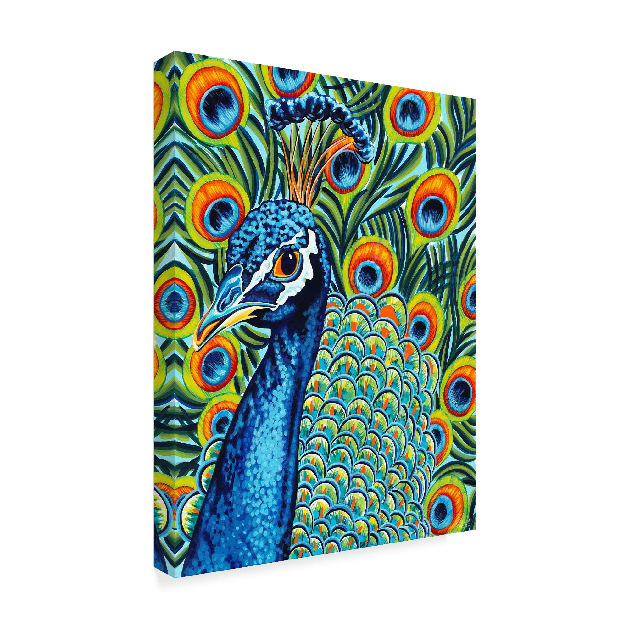 Trademark Fine Art 'Plumed Peacock I' Canvas Art by Carolee Vitaletti