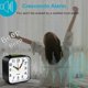 thumbnail image 2 of Classic Analog Snooze Alarm Clock - Effortless Snooze, Durable Travel Design, Luminous Hands, Whisper-Quiet, Ideal for Heavy Sleepers, Bedrooms & Offi, 2 of 4