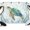Emerald, Blue, Sage, variant on 7x5ft Photo Backdrop, Coastal Octopus Soft Polyester Backdrop Curtains Photography Backdrops, Nautical Seaweed Ocean Creatures Brushed Background for Photoshoots Studio Video Portrait Parties
