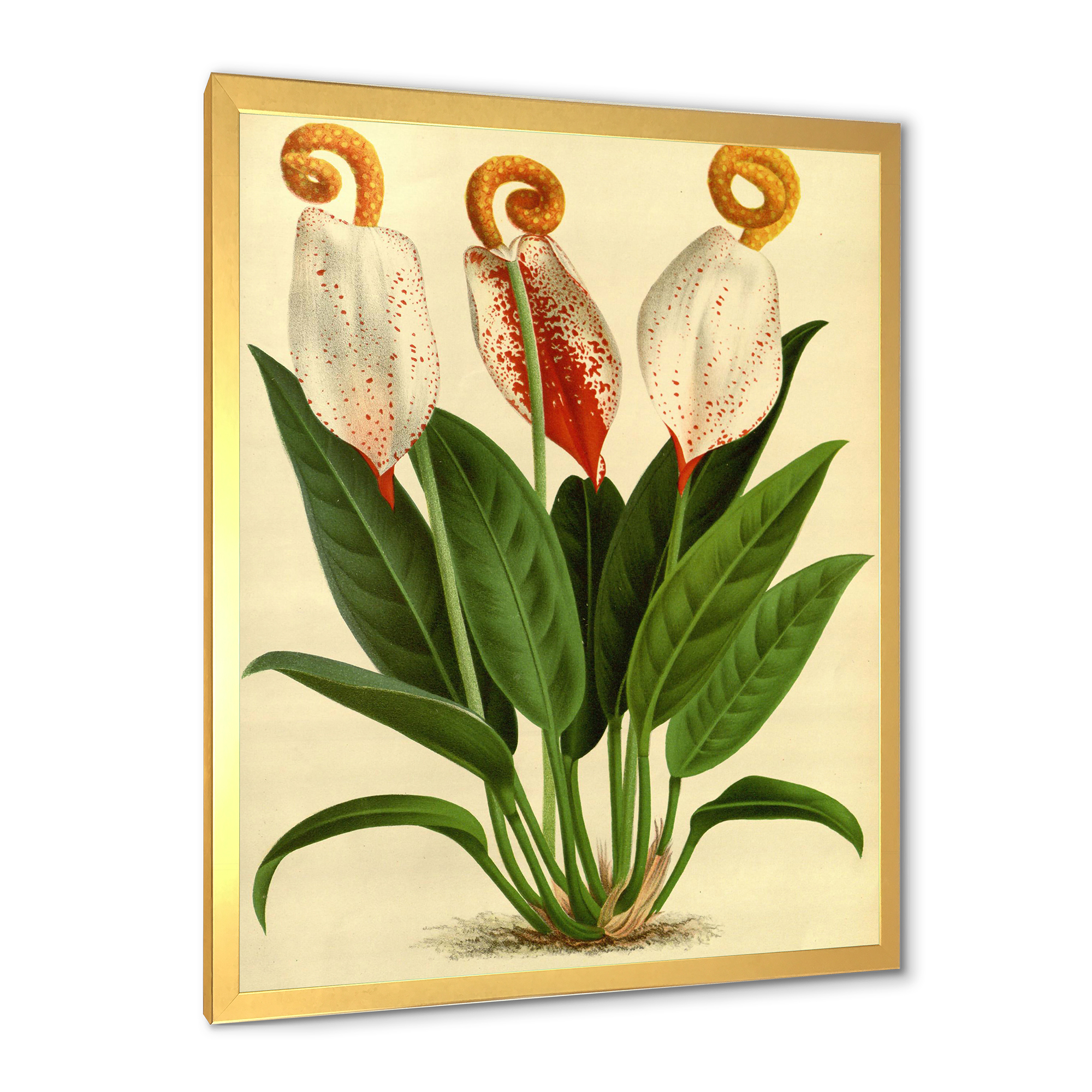 Designart 'Retro Wildflowers' Farmhouse Framed Art Print