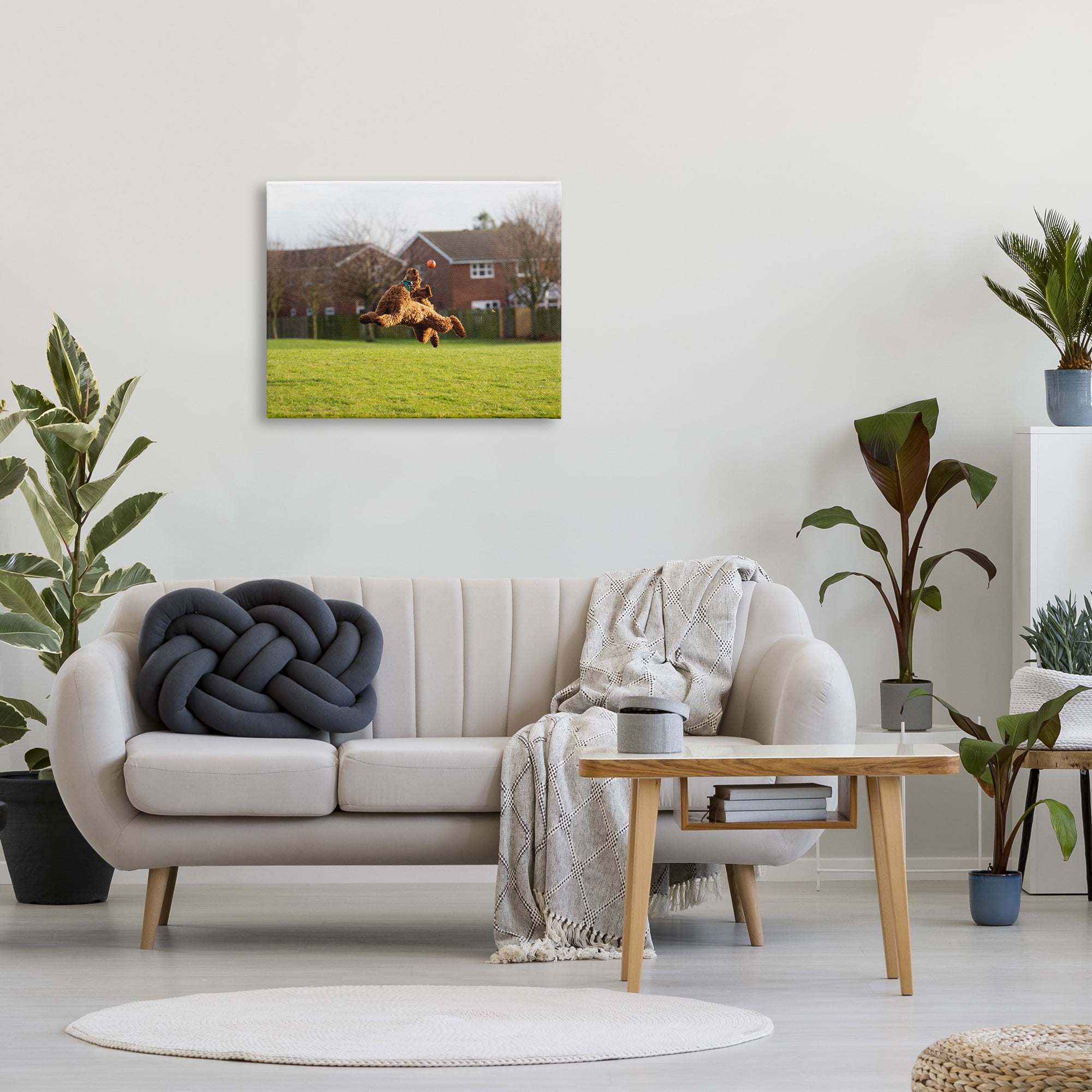 Stupell Industries Eye on the Ball Dog Animals & Insects Photography Gallery Wrapped Canvas Art Print Wall Art, 30 x 24