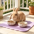 thumbnail image 4 of Pet Placemat for Dog and Cat, Anti-Slip Waterproof Dogs Feeding Mat Prevent Food and Water Overflow, Bowl Mats Suitable for Small Pets, 4 of 6