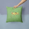 thumbnail image 2 of Carolines Treasures 8848PW1414 Grasshopper on Avacado   Canvas Fabric Decorative Pillow 14Hx14W multicolor, 2 of 4