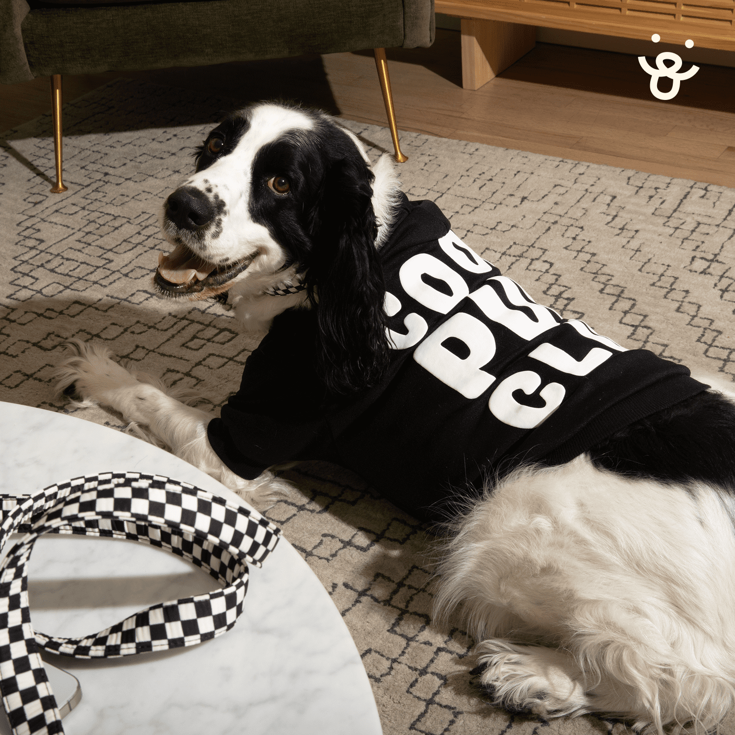Oodles Cool Pup Club Bubble Hem Fall Dog Hoodie, Black, Large