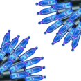 thumbnail image 1 of Cadena de luces de hadas navideñas ACTIVE Biensenido a ACTIVE azul, 1 of 5
