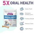 thumbnail image 3 of Health Extension Dental Bones Peanut Butter Size Small (8pk) | Dental Teeth Cleaning & Breath Freshener | Maintains Healthy Gums | Fights Plaque, 3 of 8