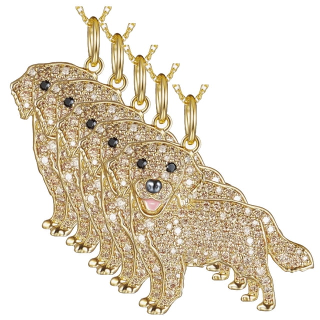 Collar Hermosos DogNeck24 5Pzas Golden Retriever Dorado Metal Cadena y Dije VentDepot