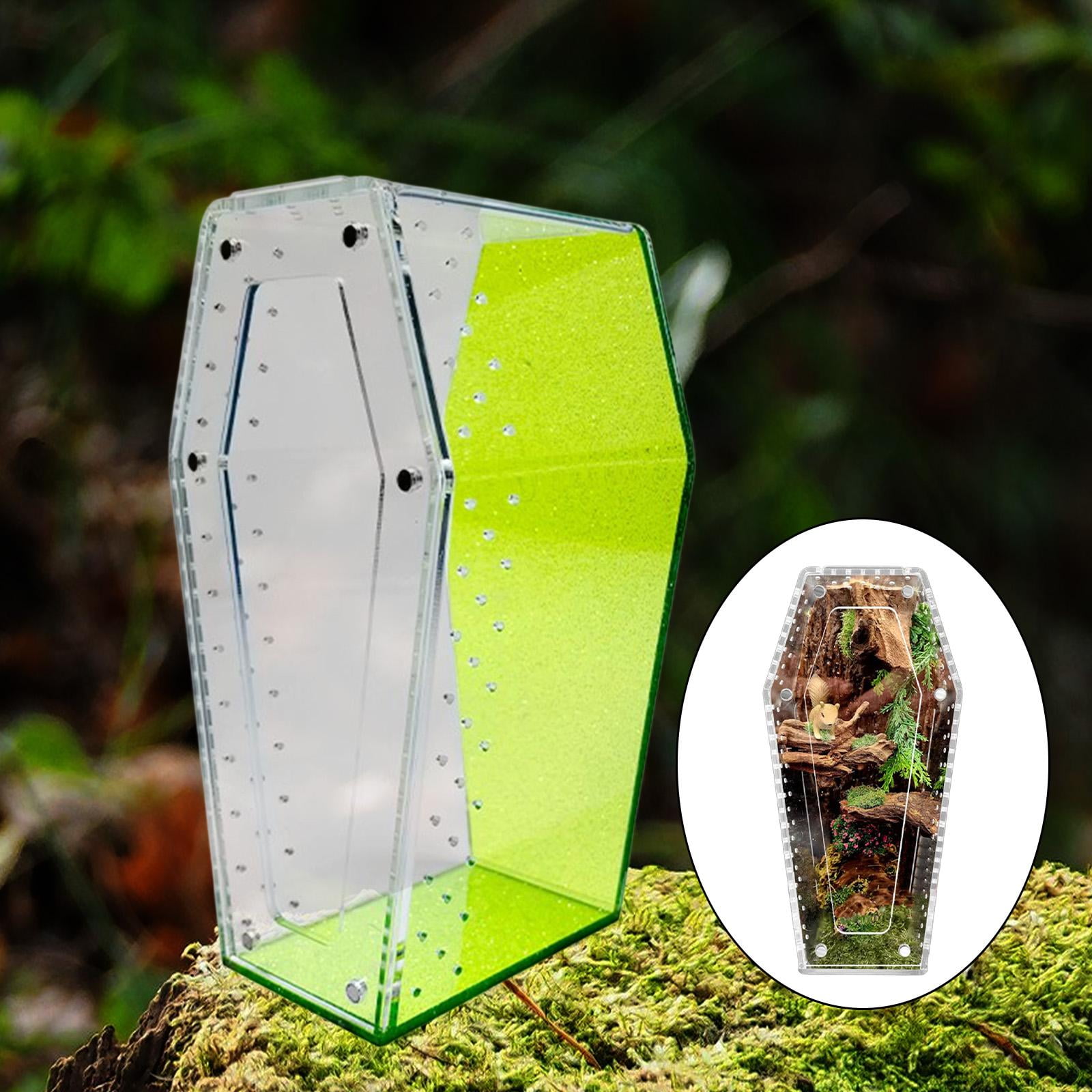 Reptile Terrarium Tarantula Enclosure Jumping Spider Cage 360 Degree Clear Acrylic for Pet Observation