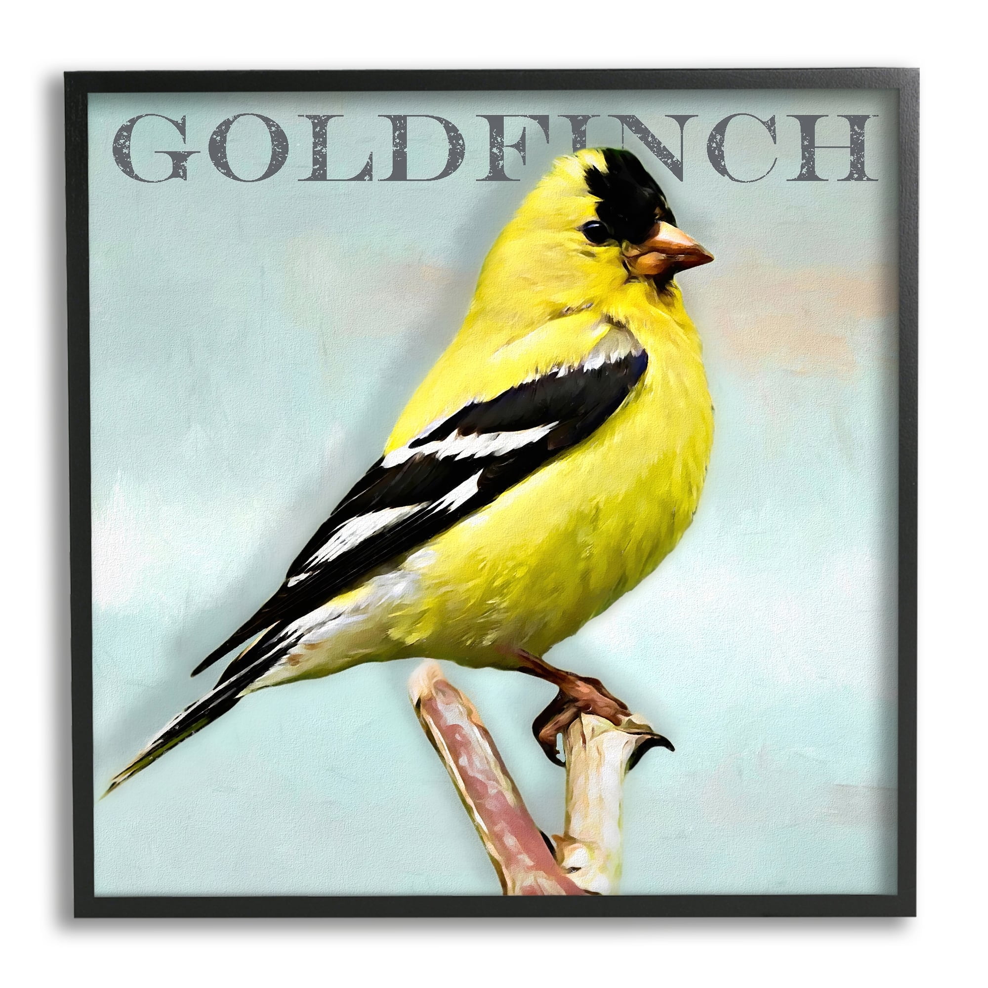Stupell Industries Yellow Goldfinch Bird Portrait Rustic Text Typography Framed Wall Art, 17 x 17, Design by Alpenglow Workshop