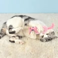 thumbnail image 4 of ERK 1Pcs Cat For Indoor Cats For Feline Emotion Support For Cats. Cat Chew For Care. With Feline Optimized Color Schemes, 4 of 5