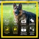 thumbnail image 4 of Collar electrónico de adiestramiento remoto de perros Dogtra ARC HANDSFREE Plus, 4 of 9