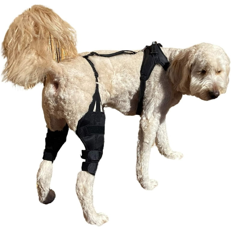 Stifle brace for small cheap dogs