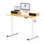 FlexiSpot 48x24 Electric Standing Desk with One-Piece Desktop, 2 Removable Drawers, Headphone Hook, 4 Height Memory Presets, 250lbs Capacity Ergonomic Sit Stand Desk with Monitor Stand