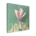 thumbnail image 2 of Danhui Nai 'Soft Crocus' Canvas Art, 2 of 4