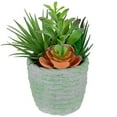 thumbnail image 3 of Northlight 8.5" Mixed Succulent Artificial Potted Arrangement - Green/Brown, 3 of 6