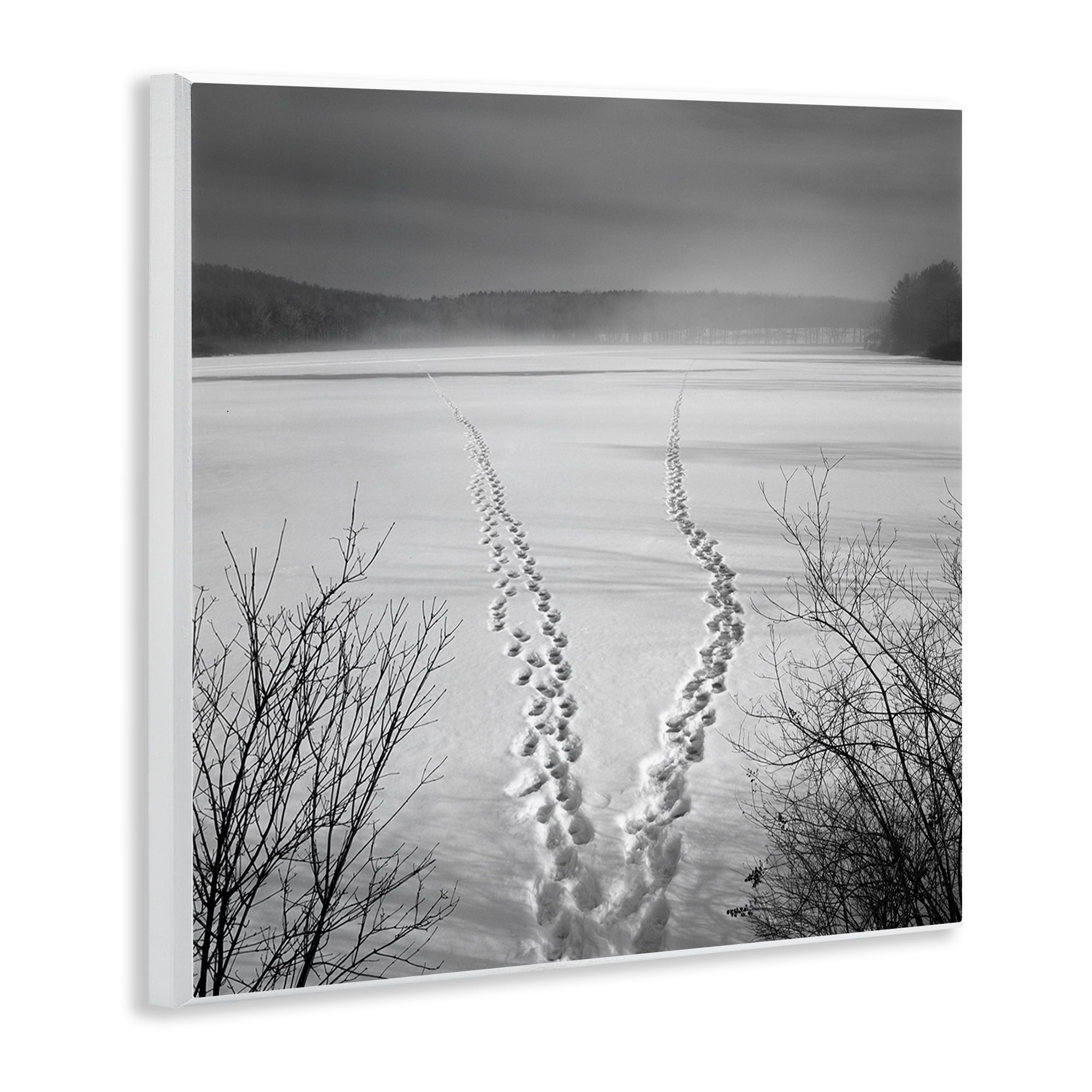 Stupell Industries Snowstep Tracks Across Frozen Lakes Wall Plaque Art, design by Chip Forelli