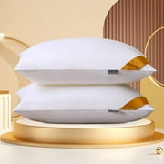 Bed Pillows Queen Size Set of 2, Luxury Hotel Quality Queen Bed Pillows, Fluffy Down Alternative Pillows 2 Pack for Sleeping, Soft Gusseted Pillows for Side, Back or Stomach Sleepers