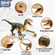 thumbnail image 2 of Juguete Dinosaurio Velociraptor Rm Regalomex Control Remoto 2.4 Ghz Luz y Sonido Movimiento Lateral Grande, 2 of 5