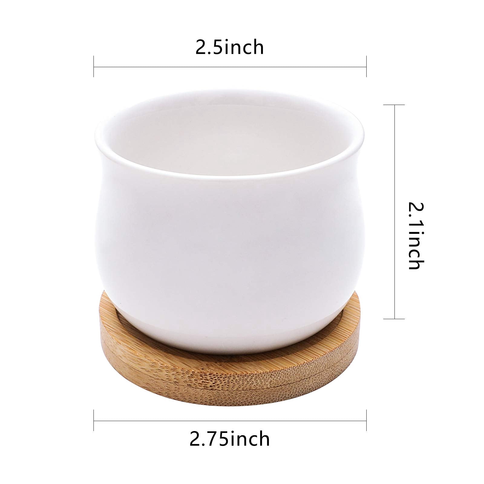 2 Pack Mini Ceramic Succulent Pots 2.5 Inch with Drainage Hole, Small Flower or Cactus Planters for Indoor Gardening