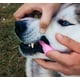 thumbnail image 2 of 2 cepillos de dientes de silicona para perros, diseño ergonómico, fáciles de usar con los dedos, color rosa., 2 of 5