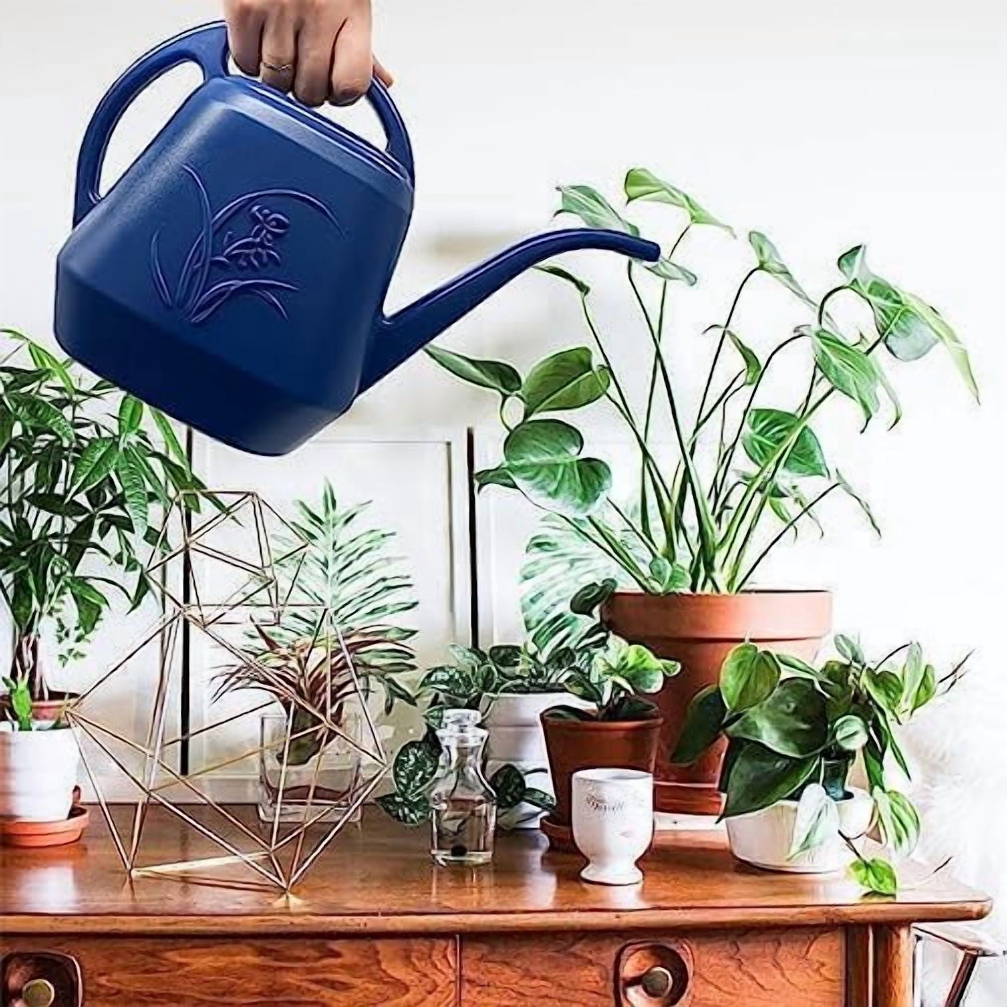 Hand Watering Can - with Long Spout - 1 Gallon - Blue