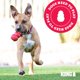 thumbnail image 3 of Juguete Dental KONG Rojo Grande para Perro, 3 of 9