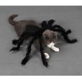 thumbnail image 2 of Disfraz de araña mascota (S), 2 of 5
