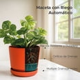 thumbnail image 2 of Set De 2 Macetas Elly Decor Con Plato Drenaje Interior Exterior 12 Pulgadas Terracota, 2 of 5