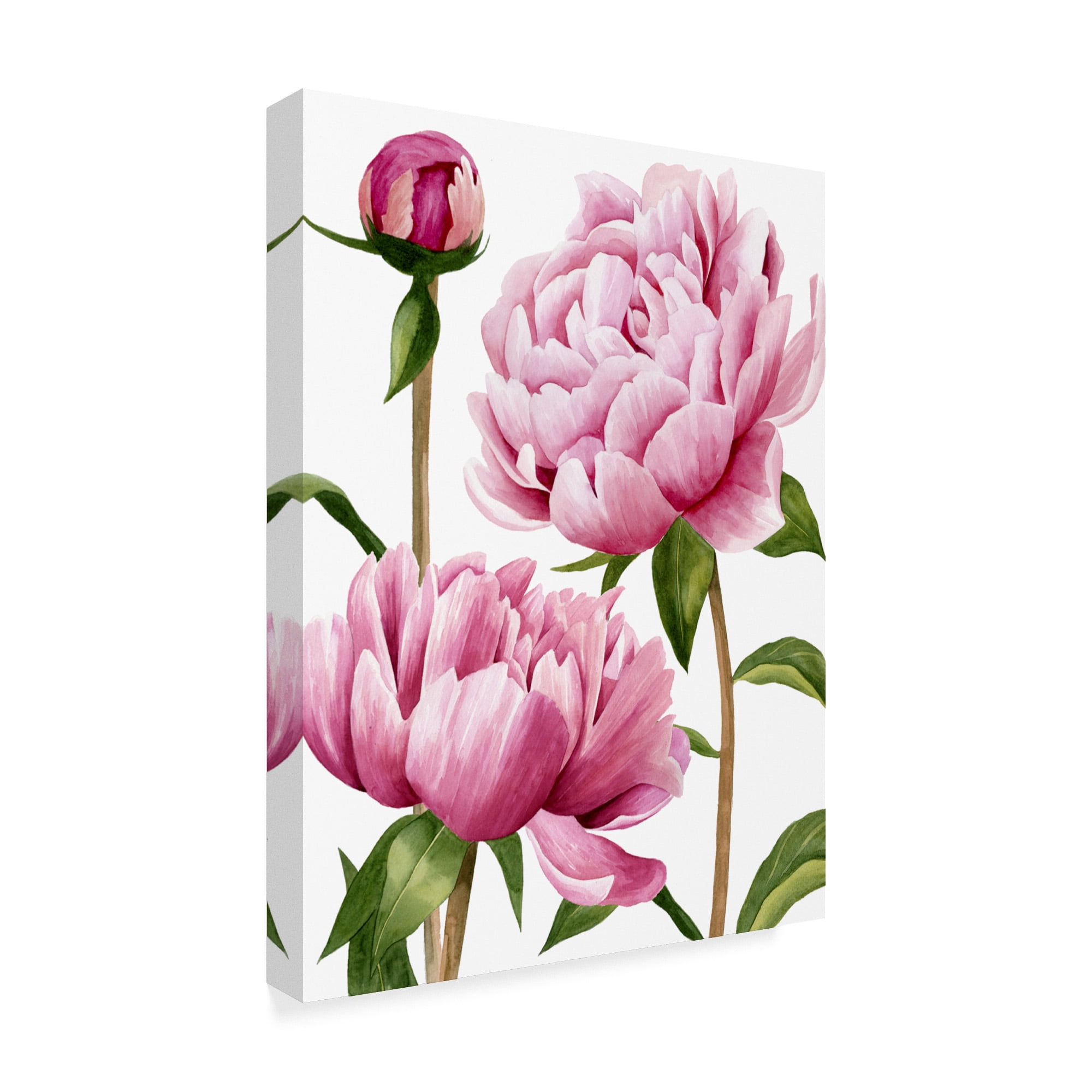 Trademark Fine Art 'Winsome Peonies I' Canvas Art by Grace Popp