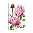 thumbnail image 2 of Trademark Fine Art 'Winsome Peonies I' Canvas Art by Grace Popp, 2 of 4