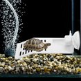 thumbnail image 4 of unbranded Para Reptiles Plástica Multifuncional Para Terrarios Y Peceras, 4 of 8