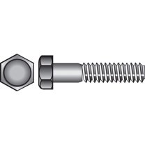 Hillman 1/4" Stainless Steel Hex Head Cap Screw