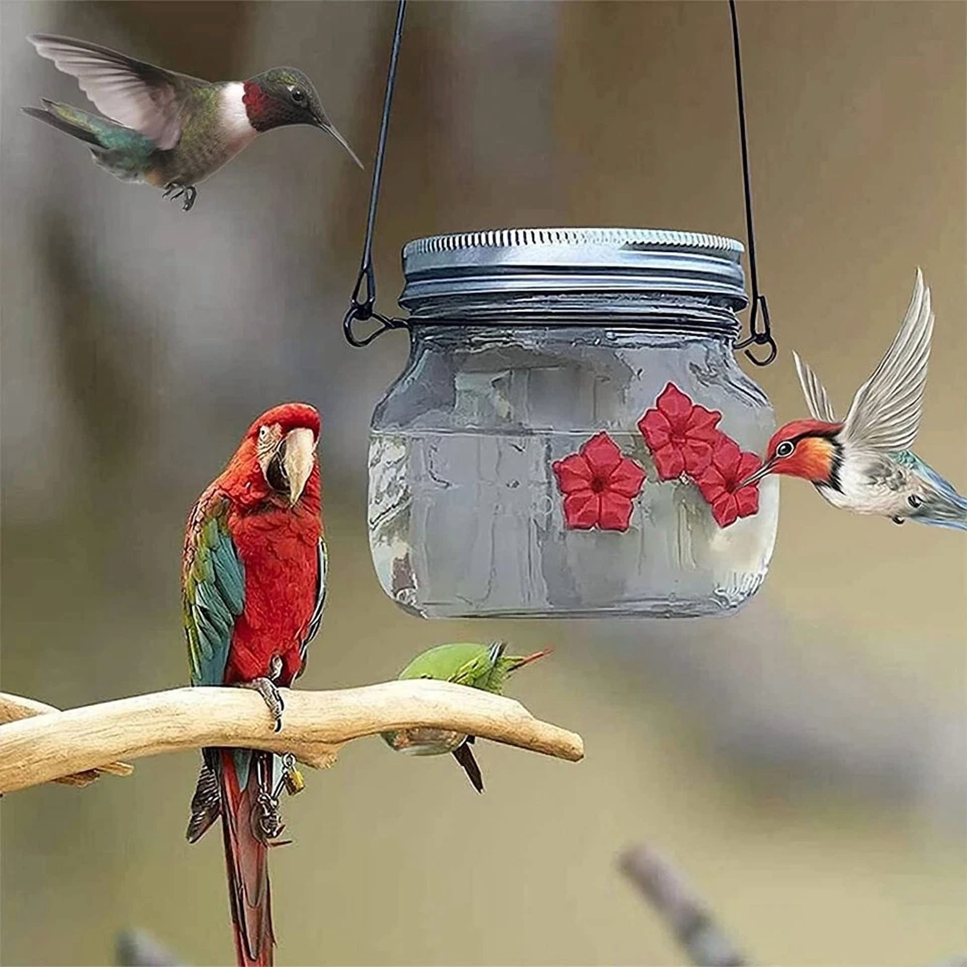 ZYLER- 1Pcs Hummingbird Feeder Mason Jar Portable For Bird Outdoor New