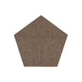 thumbnail image 1 of Galaxy Way Pet Friendly Indoor Outdoor Area Rug Brown - 7' Pentagon, 1 of 4